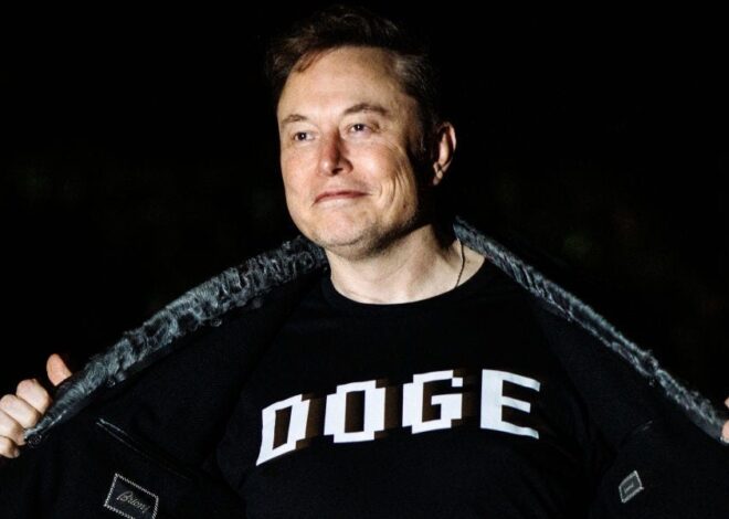 Introducing: The Musk Watch DOGE Tracker