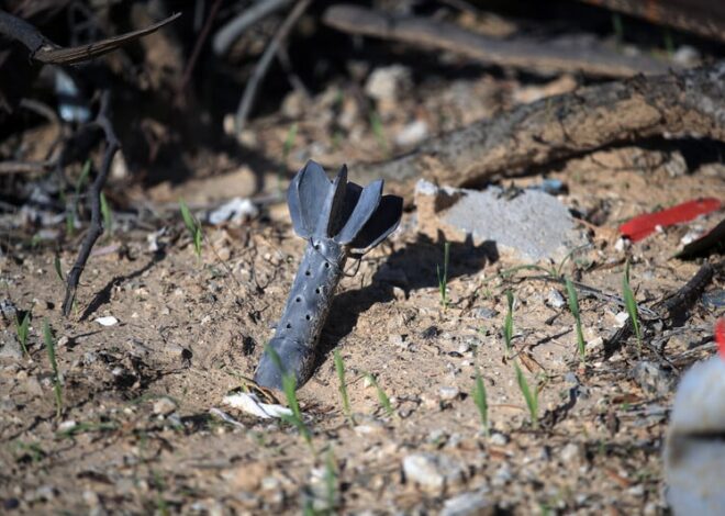 Gaza’s farmers return to find scorched trees, toxic soil