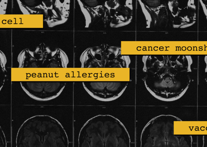 These Topics Are Being Scrutinized at the National Cancer Institute — ProPublica