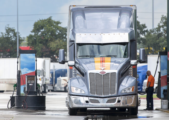 From Driver to Business Owner – A Roadmap Snapshot