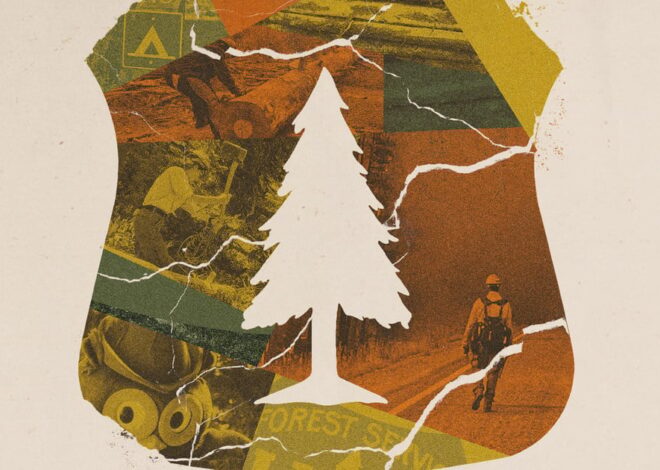 How Trump’s Forest Service Cuts Could Affect Wildland Firefighting — ProPublica