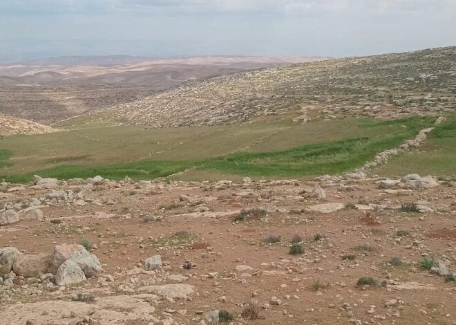 “Poisoning ‘the Holy Land.’” – by Cara MariAnna