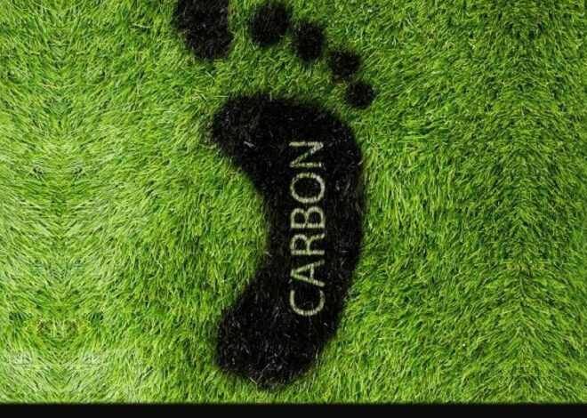 Carbon Tax and the Digital ID Control Grid