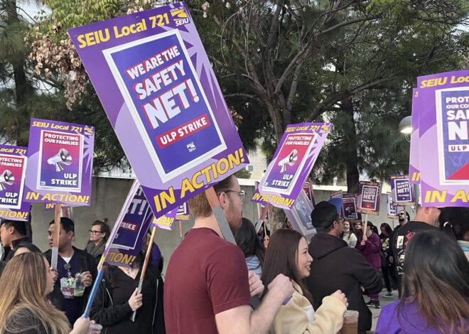 The SEIU Strike is an Opportunity to Build the Collective Struggle of the Entire Working Class