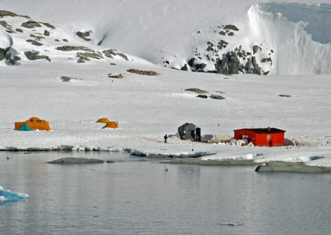 Trump Administration Decommissions Sea Ice Data That Sounded an Alarm on Arctic Climate Change