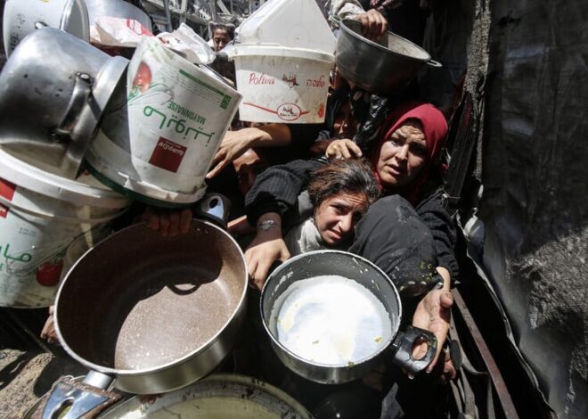 Gaza needs food and freedom