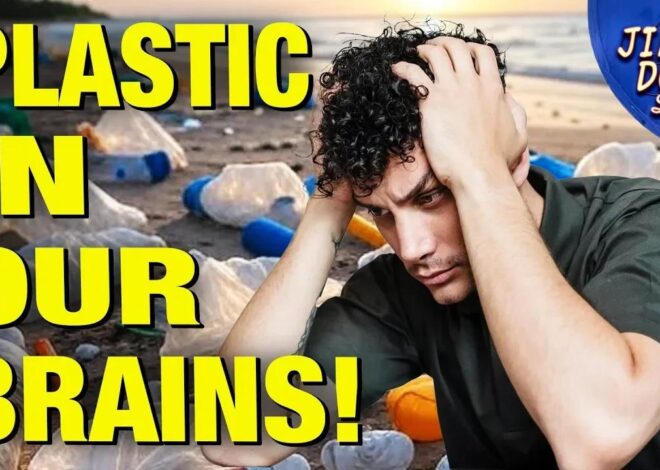 How To Clear Plastic Nano-Particles That Are Invading Our Brains – Kim Bright