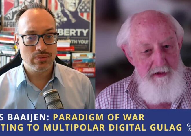Mees Baaijen: Paradigm of War Shifting to Multipolar Digital Gulag