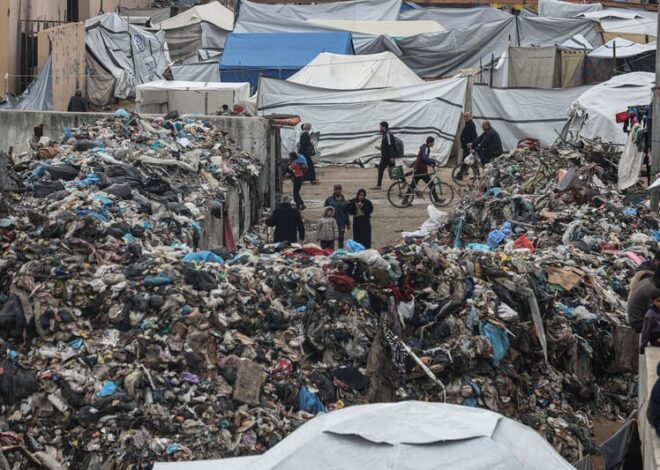 Rats reign in Gaza | The Electronic Intifada