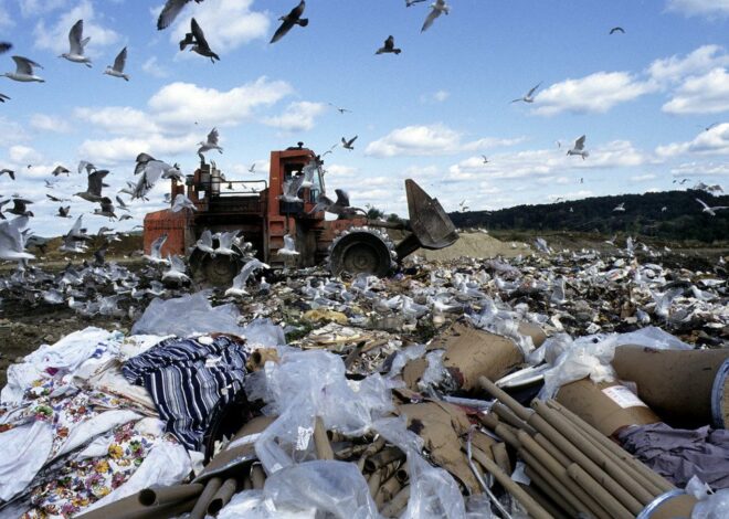 An $18M Grant Would Have Drastically Reduced Food Waste. Then the EPA Cut It.