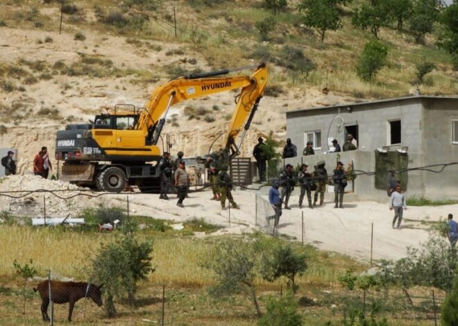Brutality in broad daylight | The Electronic Intifada