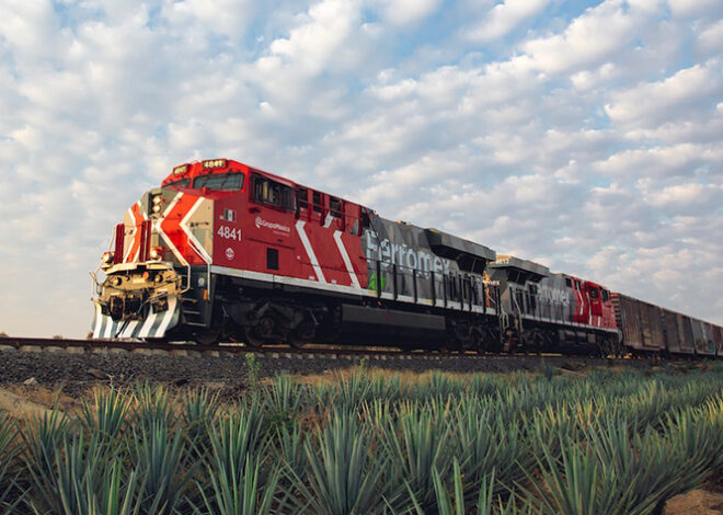 Grupo Mexico rail operations earnings plunge as volume drops