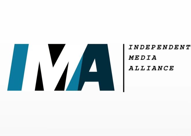 IMA Panel on AI