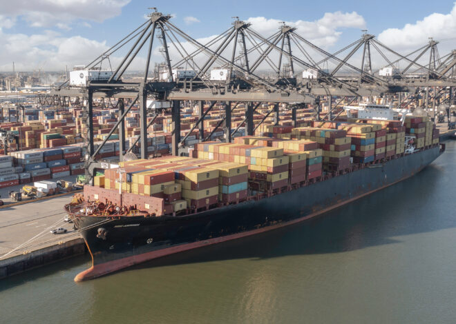 Ocean carriers blank sailings as bookings drop