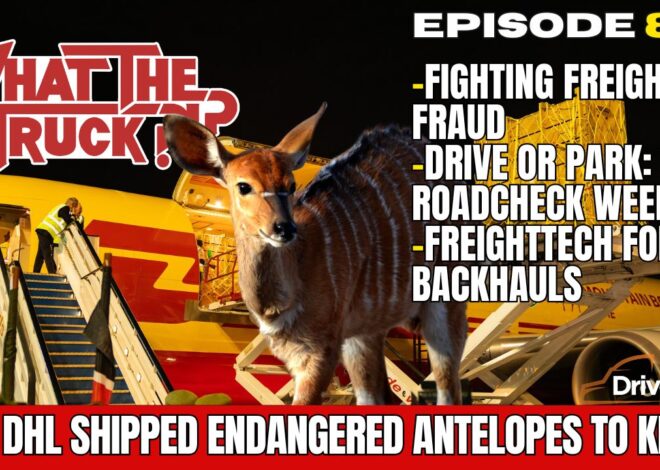 DHL Express ships endangered antelopes to Kenya; freight fraud; fixing backhauls | WHAT THE TRUCK?!?