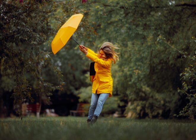 Predicting the Weather – OffGuardian