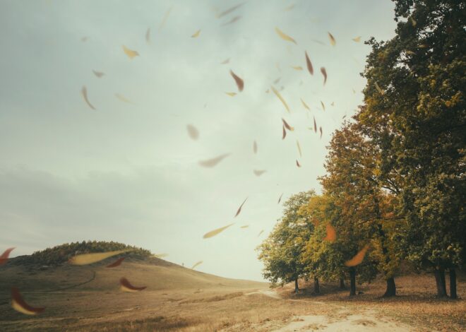 Wicked Gusts – OffGuardian