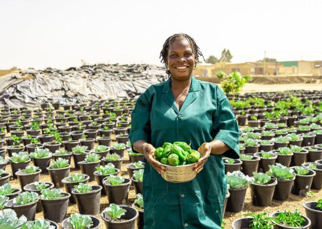 Anti-Imperialism and Food Sovereignty in Burkina Faso  – OffGuardian