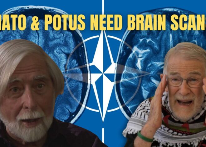 At 75, NATO Needs a Neurological Exam
