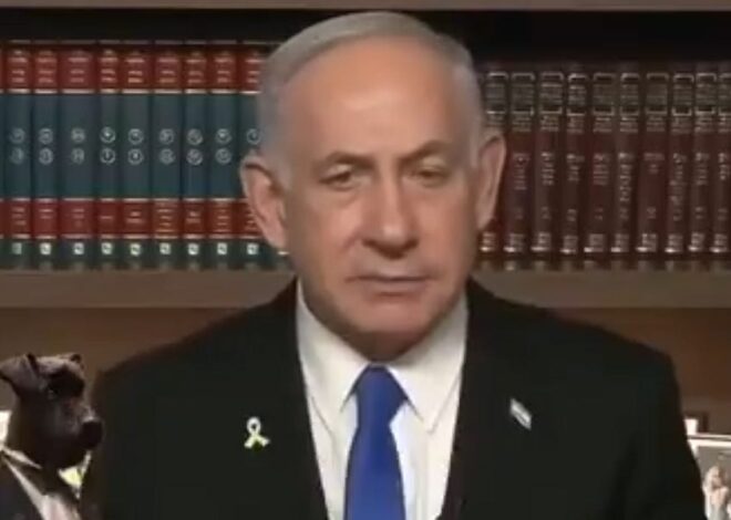 47% of Israelis want to kill all Palestinians, but if you say “free Palestine”, you’re a Nazi