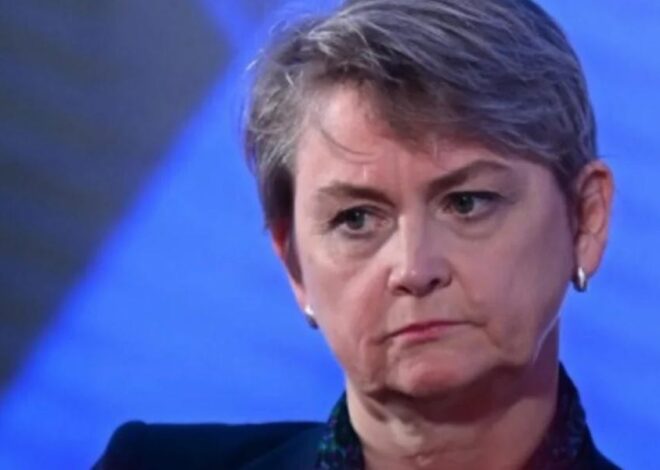 Why I wrote an expert report against the UK classing Hamas as a terror group