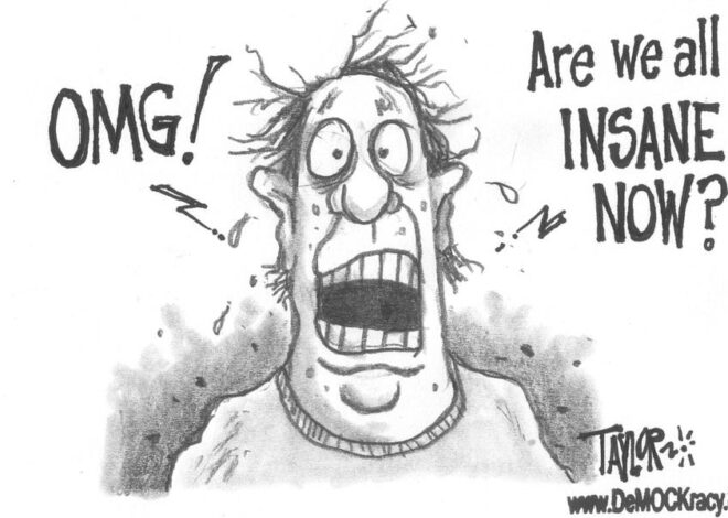 A Sane Explanation For The Insanity The West Is Experiencing