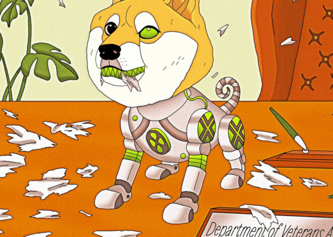 DOGE Developed Error-Prone AI to Help Kill Veterans Affairs Contracts — ProPublica