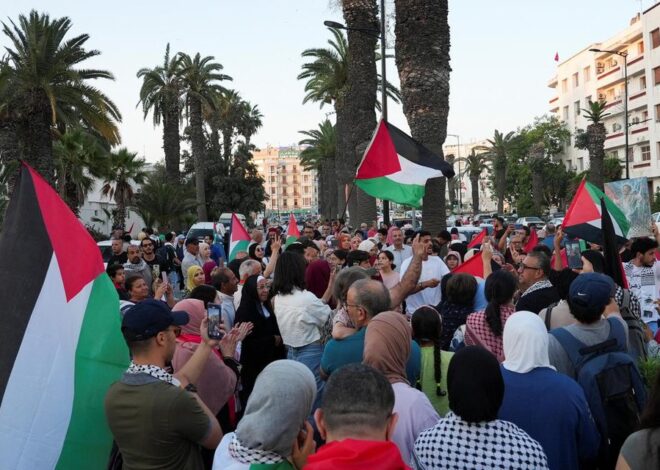 The Egyptian Regime Deports Activists from the March to Gaza