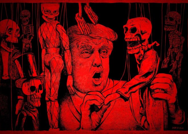 Chris Hedges: The Rule of Idiots