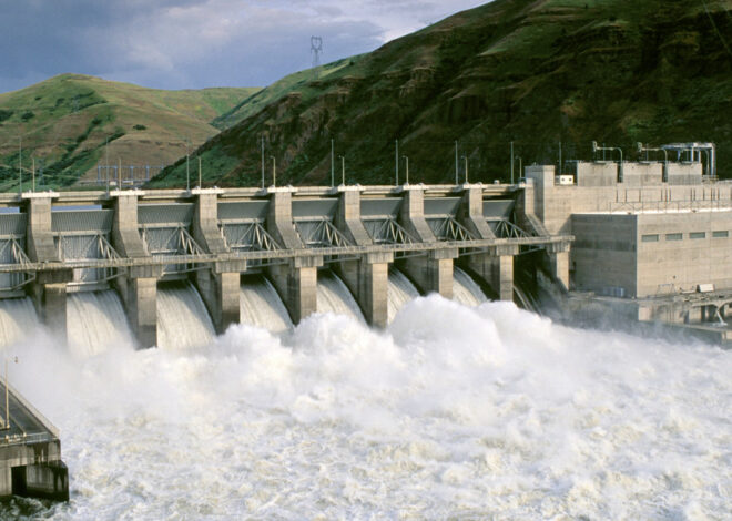 Trump Cancels Deal With Tribes to Restore Columbia River Salmon — ProPublica