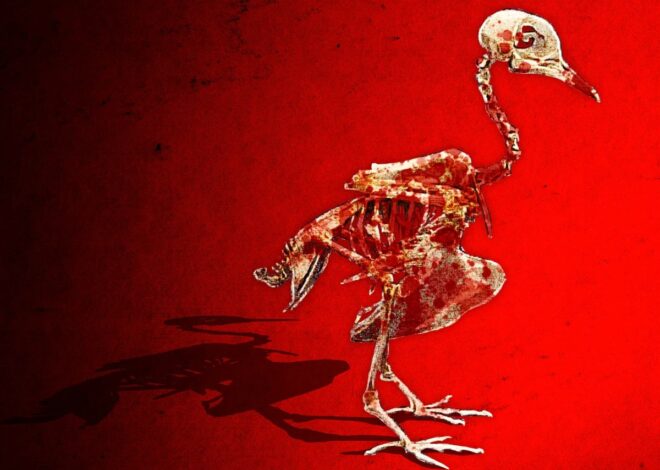 Chris Hedges: Gaza’s Hunger Games