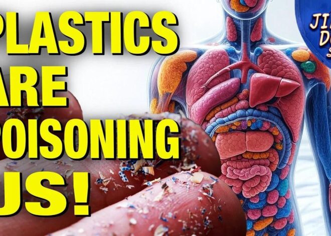 Here's How To Fight Micro-Plastics Infecting Our Bodies and BRAINS – Kim Bright