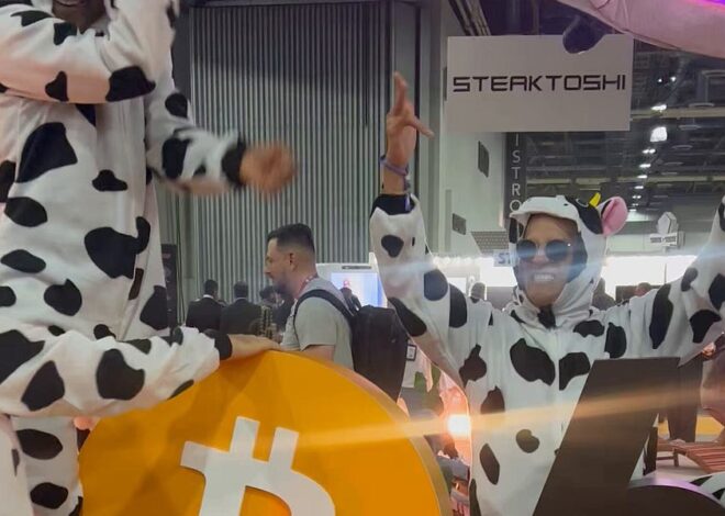 Hey Steak n’ Shake, did you just call my Bitcoin a cow?