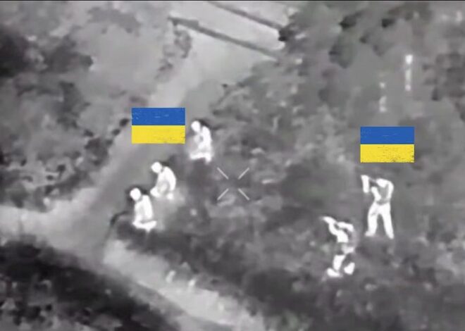 Situation Reports Part 2 – 2025-06-09