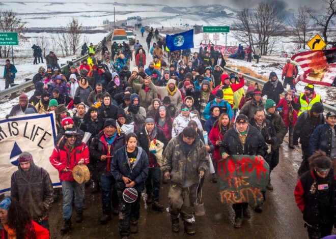 Lessons for protesters from Standing Rock