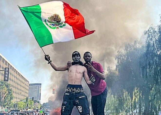 Critical perspective on LA protests, Ukraine and the ‘Freedom Flotilla’ to Gaza