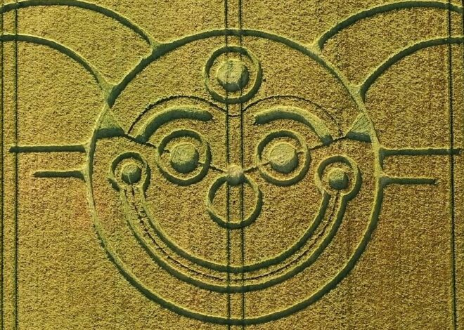 Cropcircles