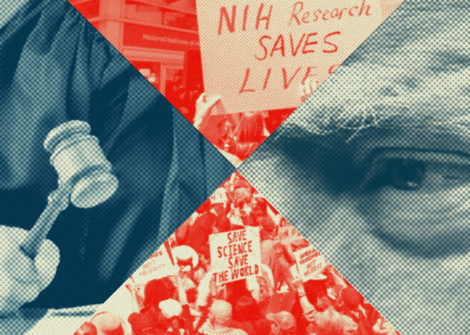 Trump Administration’s Termination of NIH Grants Ruled Illegal — ProPublica