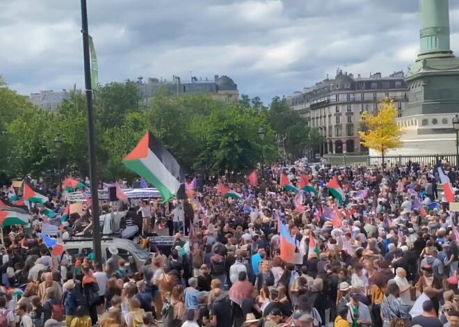 “The Trial of Anasse Kazib Can Strengthen the Palestine Movement”: Interview with Elsa Marcel