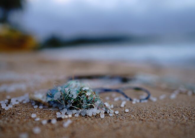 This Is Your Brain On Microplastics (MPs)