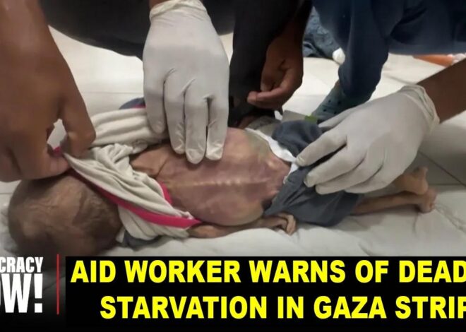 Stop This Genocide – Gaza Aid Worker Warns of Imminent Starvation