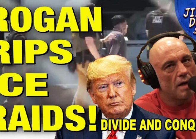 Joe Rogan Calls ICE Raids On Immigrants CRAZY – Sam Tripoli
