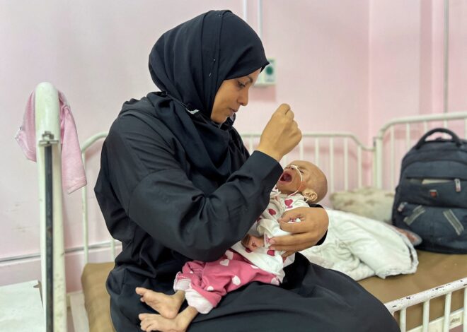 British Surgeon in Gaza Reports ‘Unprecedented Malnutrition,’ Says IDF Snipers Targeting Aid Seekers