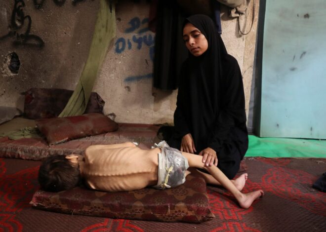Four Major News Agencies Warn Gaza Staff Face Starvation Due to Israeli Blockade