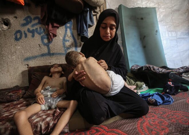 As Gaza starvation shocks the world, Witkoff is in Israel to push for a ceasefire deal – Mondoweiss