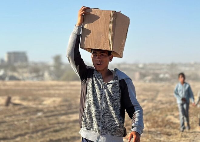 The terrifying experience of trying to get aid in Gaza