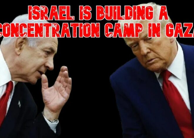 Israel Is Building a Concentration Camp in Gaza: COI #818