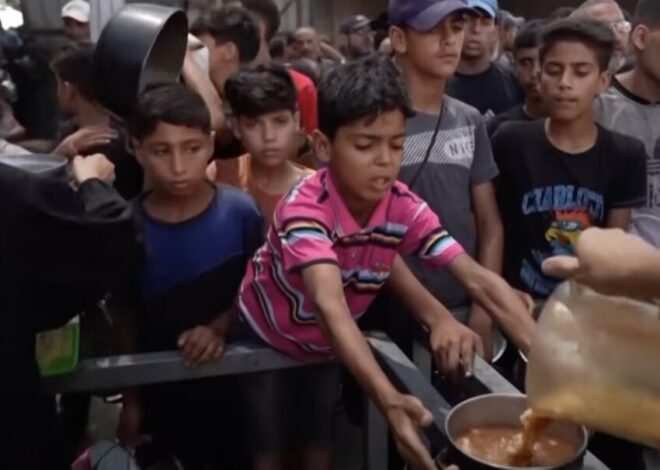 Children will die quickly amid ‘genocidal starvation’ in Gaza, warns top famine expert
