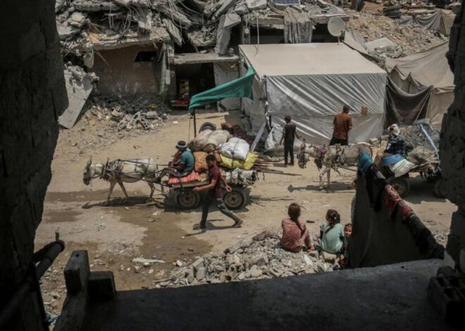 Israel Rescues Donkeys From Gaza; Now We Can’t Flee IDF Strikes
