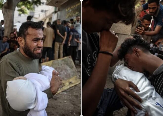 10 starve, Gaza docs as hungry as patients – War on Gaza Day 656